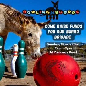 476233937 1043093481186242 2577073850593659165 N Htnn Bowling For Burros 2025