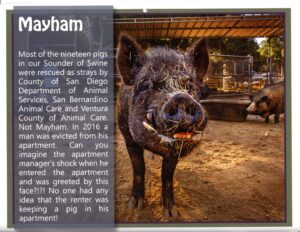 Img20250921 09564849