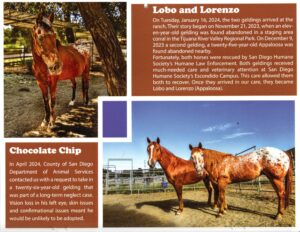 Img20250921 10000265