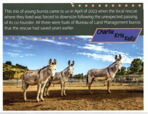 Img20250921 10031999