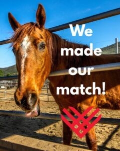 589739423 1286797276815860 508997348916887489 N