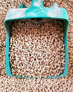 280096057 5297280813686062 1260587877881043164 N