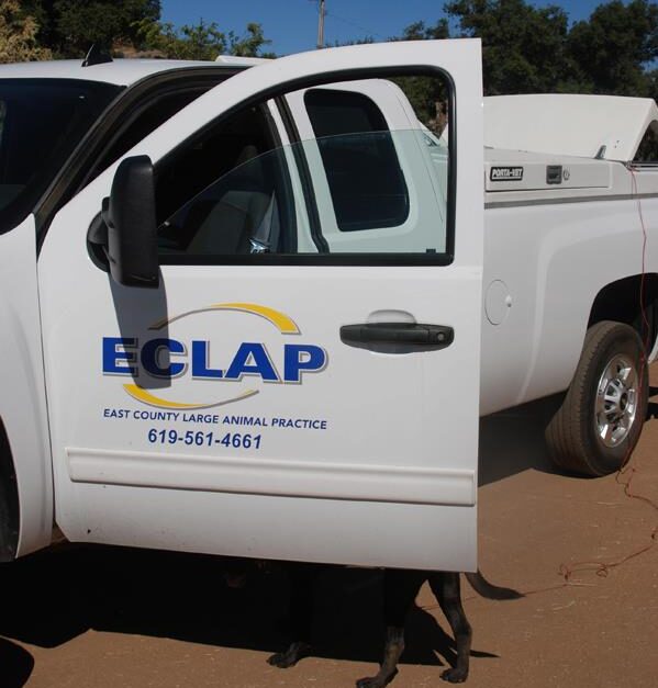 Eclap